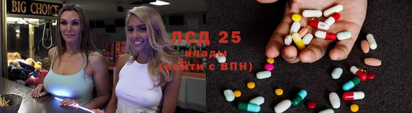 прущие грибы Баксан
