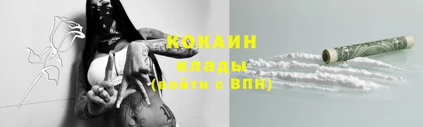 прущие грибы Баксан