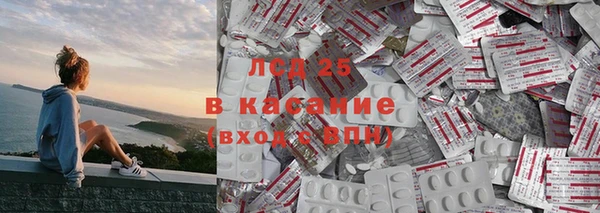 прущие грибы Баксан