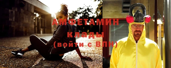 прущие грибы Баксан