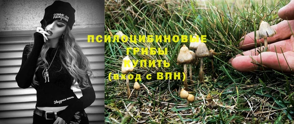 прущие грибы Баксан